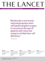 Global Burden of Disease Study 2021